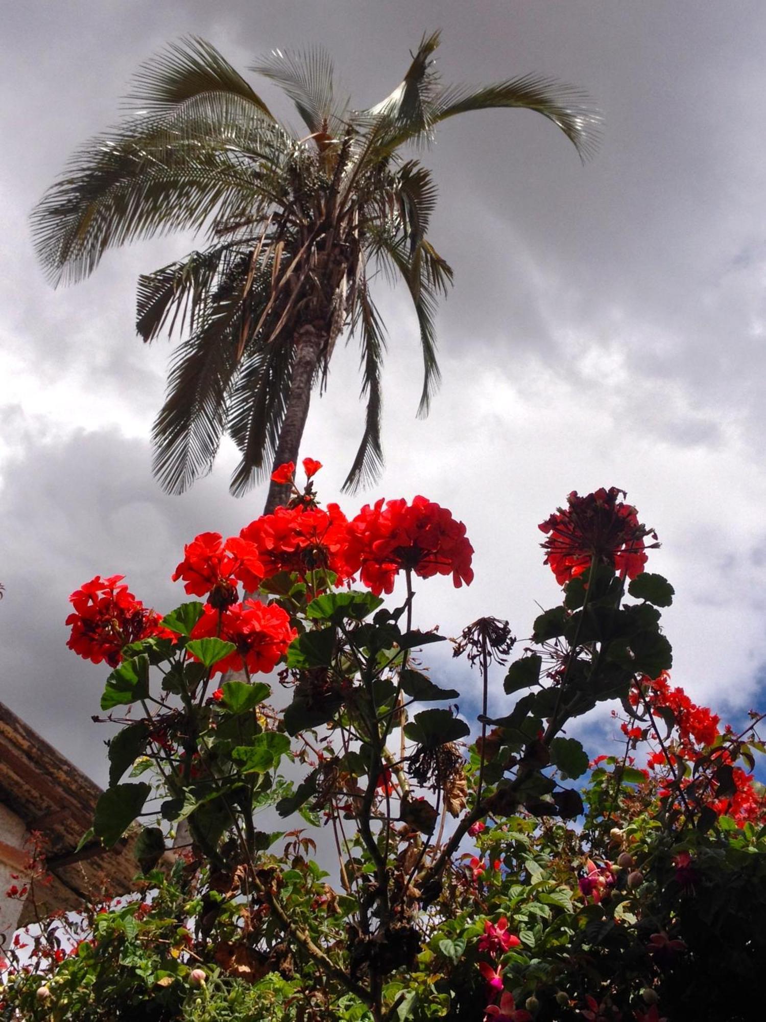 קואנקה Casa Macondo Bed & Breakfast מראה חיצוני תמונה
