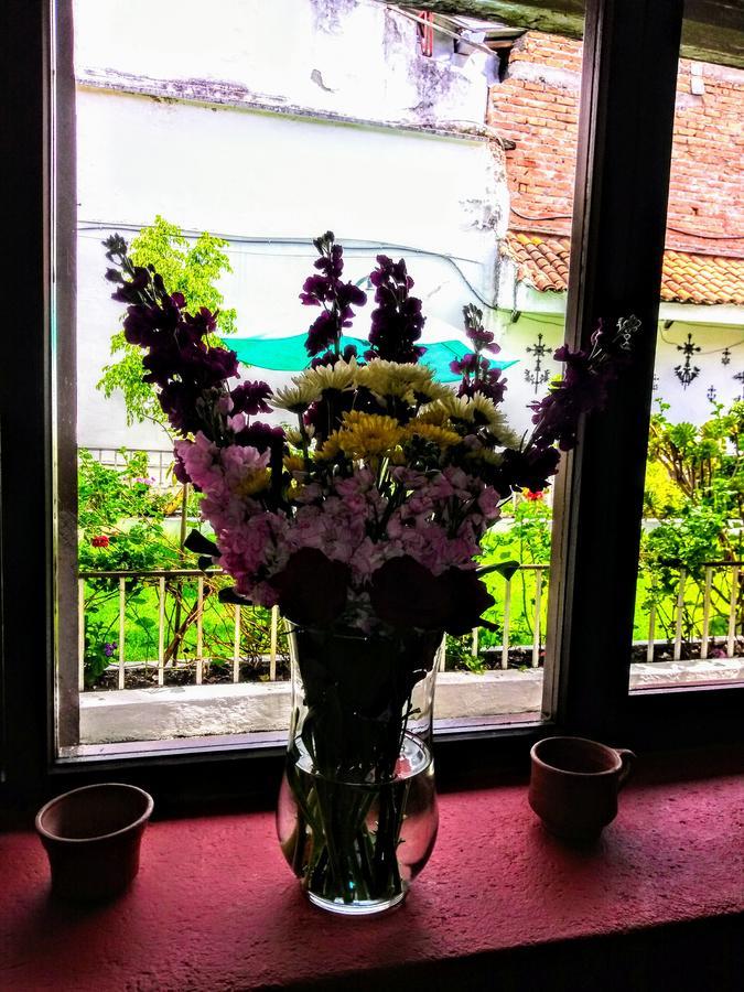 קואנקה Casa Macondo Bed & Breakfast מראה חיצוני תמונה